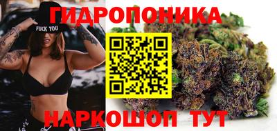 молекула духа Среднеуральск
