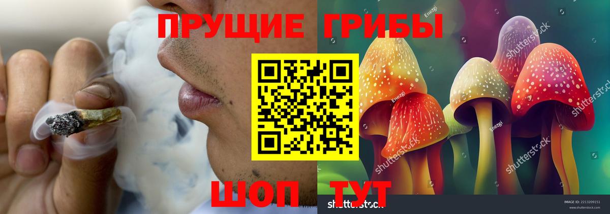 Галлюциногенные грибы Cubensis Октябрьский